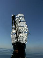 080508_Roald_Amundsen 485